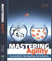 business agility, mastering agility, business transformation, hans amell, kurt larsson